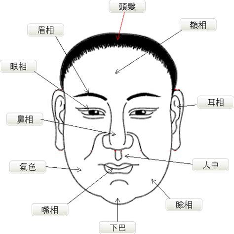 扣頭面相|【扣頭面相】「扣頭面相」悄悄流行！你的額頭也變飽滿了嗎？ –